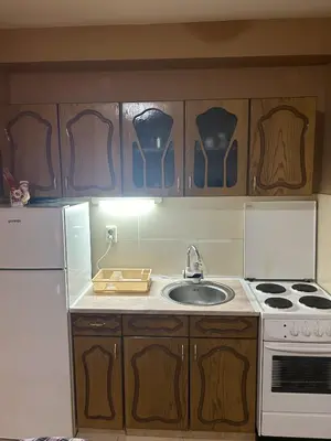 a kitchen with a sink and a stove and cabinets at Apartman Jasmina Vrnjačka banja in Vrnjačka Banja