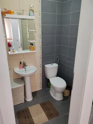 a small bathroom with a toilet and a sink at Apartman Sofija in Vrnjačka Banja
