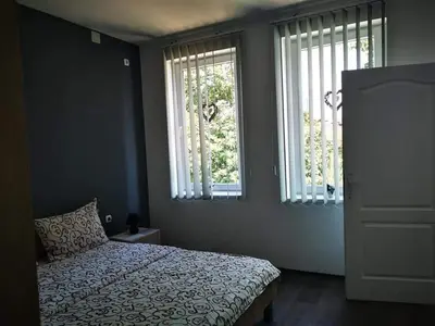a bedroom with a bed and two windows at Apartman LUKA 2 in Soko Banja