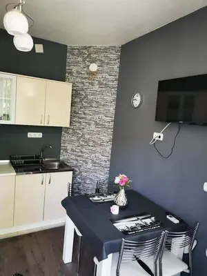 a kitchen with a table with chairs and a kitchen with a counter at Apartman LUKA 2 in Soko Banja
