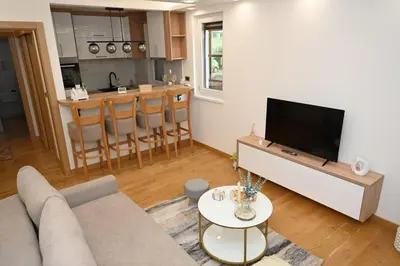 a living room with a couch and a flat screen tv at Apartman Aleksa 5 VRNJAČKA BANJA in Vrnjačka Banja