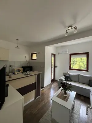 a living room with a couch and a kitchen at Apartman Sanja 2 in Vrnjačka Banja