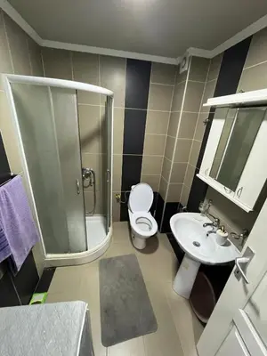 a bathroom with a shower and a toilet and a sink at Apartman Sanja 2 in Vrnjačka Banja
