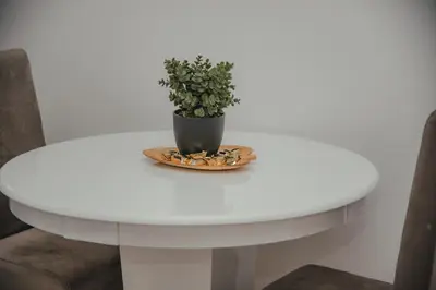 a white table with a potted plant on it at Jes Apartments in Leskovac