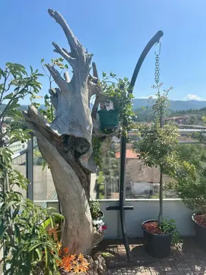 a tree with a bird house on top of it at 407 Elegant in Vrnjačka Banja