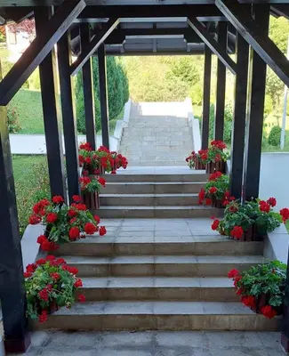 a set of stairs with red flowers and geraniums at Apartman 22, Brzeće Centar in Mramor