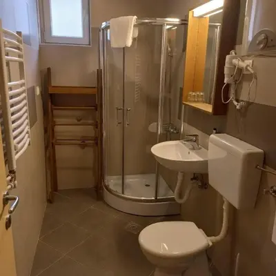a bathroom with a shower and a toilet and a sink at Apartman 22, Brzeće Centar in Mramor