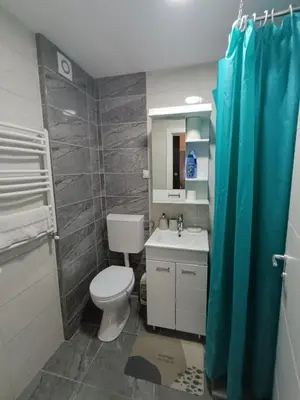 a bathroom with a toilet and a sink at Luksuzni Apartman Ema in Pirot