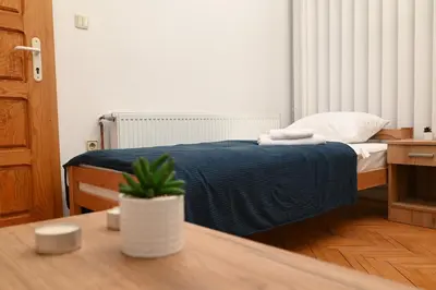 a bedroom with a bed with blue sheets and a potted plant at Apartmani Timacum in Knjazevac.