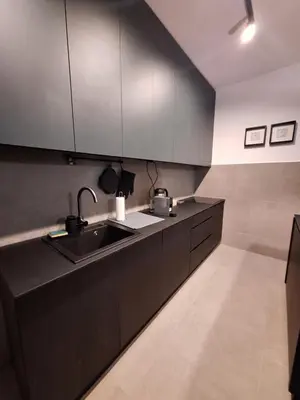 a kitchen with black cabinets and a sink at Brooklyn88 Apartment in Niš