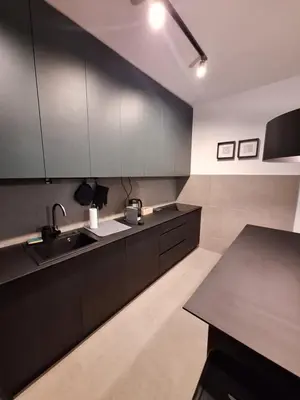 a kitchen with black cabinets and a sink at Brooklyn88 Apartment in Niš