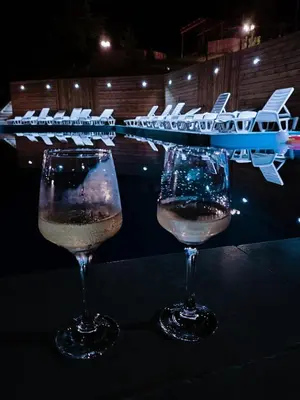 two glasses of wine on a table with a cruise ship at Apartman AQUARELLE sa bazenom, Delux apartman sa bazenom in Vrnjačka Banja