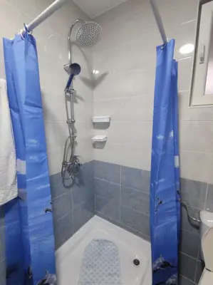 a bathroom with a shower and a toilet at Apartman Kaoma in Soko Banja