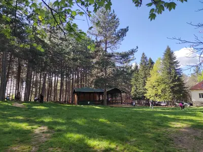 a wooden cabin in a field with trees at Apartman Kaoma in Soko Banja