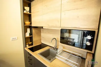a kitchen with a sink and a microwave at FAMILY APARTMENTs 3 in Vrnjačka Banja