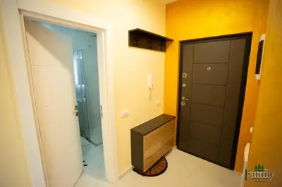 a bathroom with a shower and a black door at FAMILY APARTMENTs 3 in Vrnjačka Banja