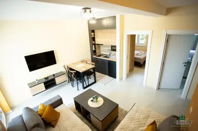 a living room with a couch and a table at FAMILY APARTMENTs 3 in Vrnjačka Banja