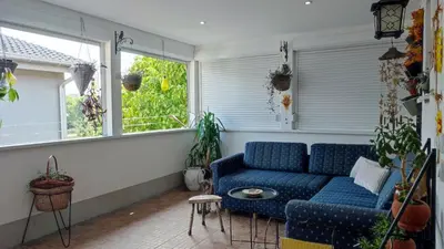 a living room with a blue couch and two windows at Mila LOFT city center-free parking in Vranje