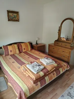 a bedroom with a bed with a dresser and a mirror at Apartmani Trifunović 2 in Soko Banja