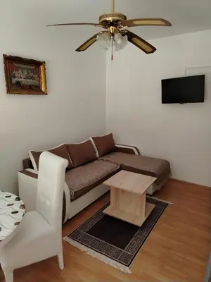 a living room with a couch and a table at Apartmani Trifunović 2 in Soko Banja