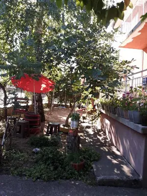 a patio with a table and an umbrella and plants at Apartmani Trifunović 2 in Soko Banja