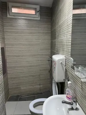 a bathroom with a toilet and a sink at Lana Apartman in Niš