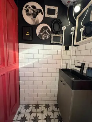 a bathroom with a sink and pictures on the wall at Trnova Ruzica in Trnovac