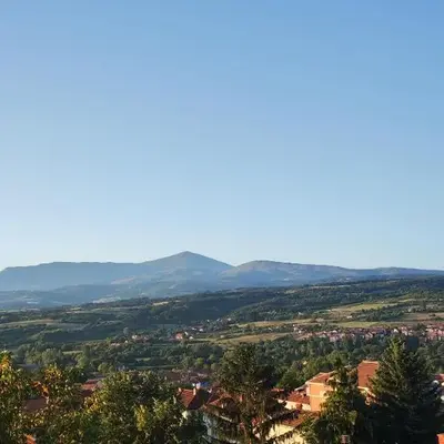 Milijic Lux 2