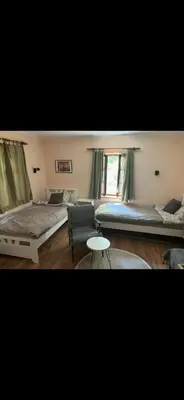 a room with two beds and a couch and a table at Rustik 2 in Soko Banja
