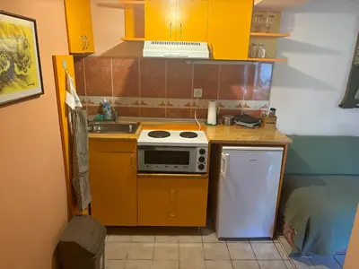 a small kitchen with a stove and a sink at Rustik 2 in Soko Banja