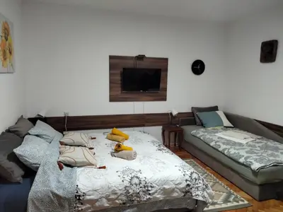 a living room with a bed and a couch at Apartment studio Ignjatovic in Niš