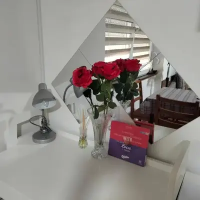 Apartment studio Ignjatovic