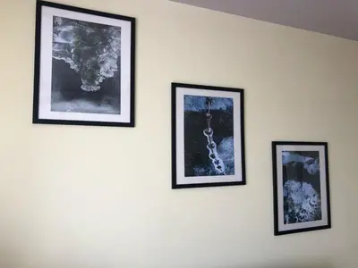 three framed pictures on a wall at ANNI apartman in Paraćin