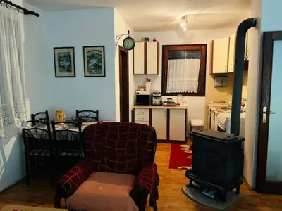 a living room with a chair and a stove at Vila Krunica in Šerdanova Mahala