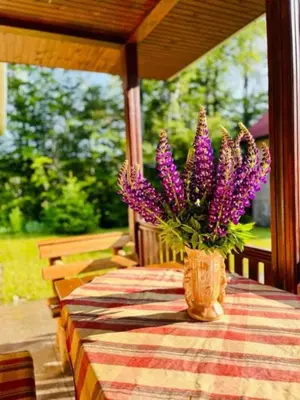 a vase of purple flowers sitting on a table at Vila Krunica in Šerdanova Mahala