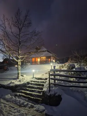 a snow covered yard with a house with a tree at Planinska kuća Radulović in Goč