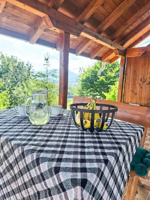 a table with a black and white checkered table cloth at Planinska kuća Radulović in Goč