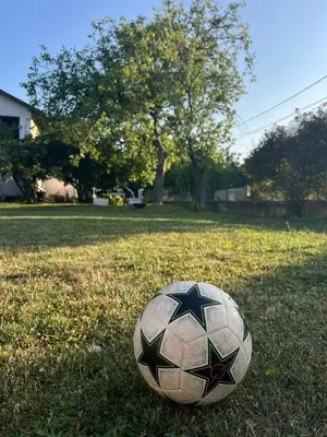 a soccer ball sitting on the grass in a field at Apartman Soni Jagodina- free jacuzzi, private parking, pet friendly in Kolonije
