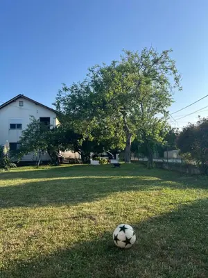 a soccer ball sitting on the grass in a yard at Apartman Soni Jagodina- free jacuzzi, private parking, pet friendly in Kolonije