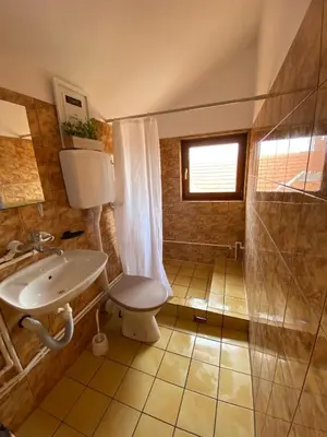 a bathroom with a sink and a toilet and a shower at Aparmani,,Drljaca,,3 in Soko Banja