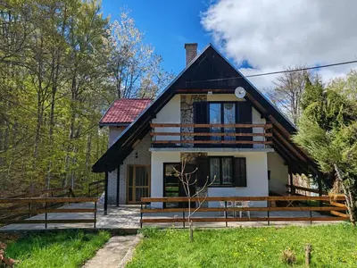 a house with a black roof at Vlasinsko jezero vila BiLiV in Surdulica