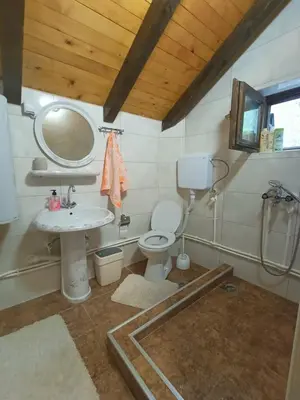 a bathroom with a sink and a toilet and a mirror at Vlasinsko jezero vila BiLiV in Surdulica