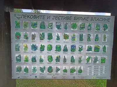 a sign that saysyiknife n pesticide bridge bridge at Vlasinsko jezero vila BiLiV in Surdulica