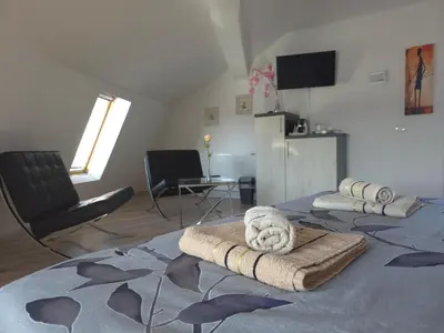 Gallery image of Fenix Apartments in Vranje