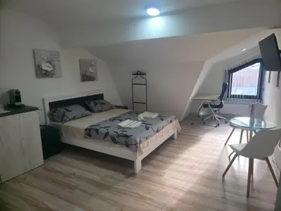 Gallery image of Fenix Apartments in Vranje