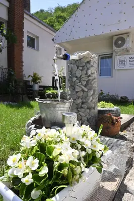 a garden with a water fountain and white flowers at Mokino bunarče in Knjazevac.