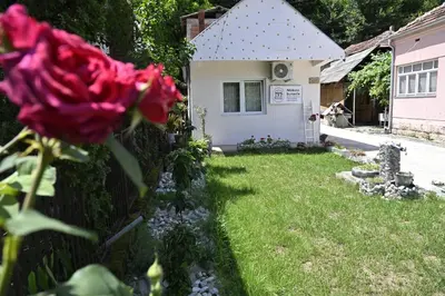 a house with a pink rose in the yard at Mokino bunarče in Knjazevac.