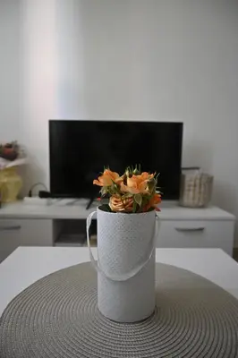 a vase with a plant in it sitting on a table at Mokino bunarče in Knjazevac.