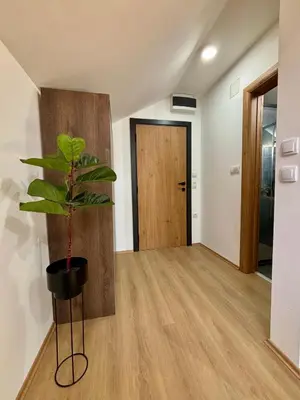 a room with a potted plant and a door at Promo Studio Apartment in Pirot