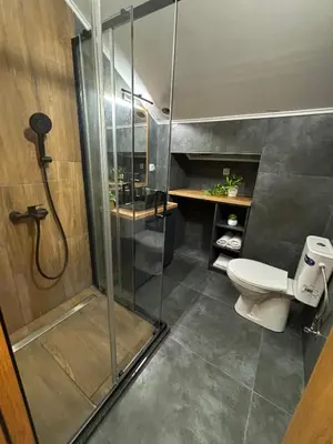 a bathroom with a shower and a toilet at Promo Studio Apartment in Pirot